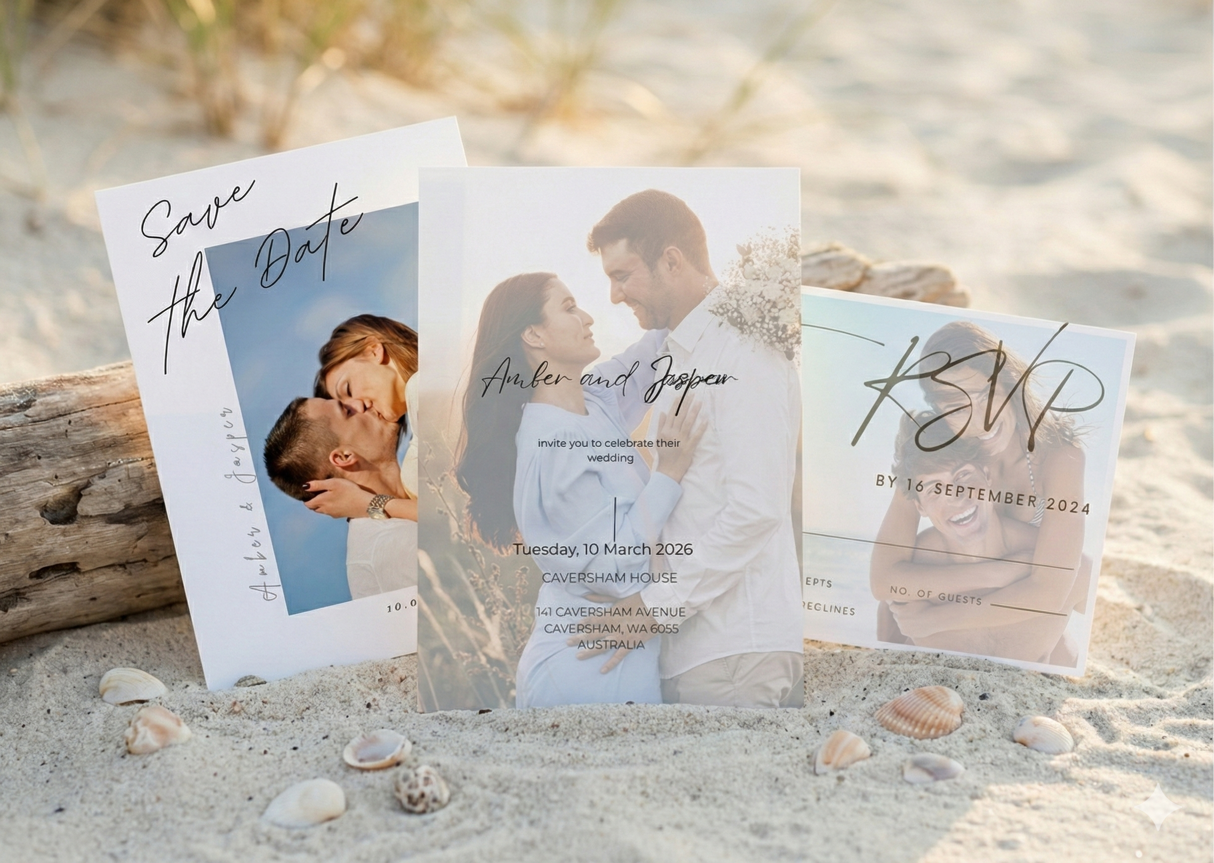 Modern Muse Collection